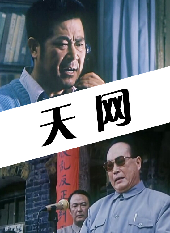 天网