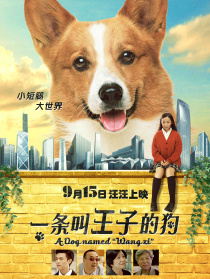 一条叫王子的狗