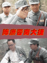 陳賡晉南大捷