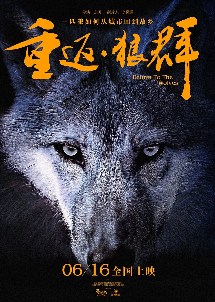 重返·狼群