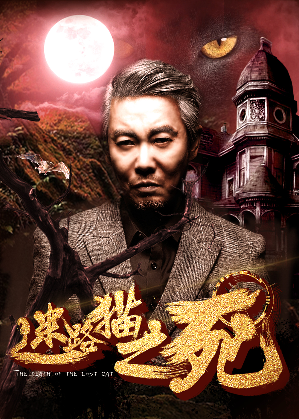 迷路猫之死