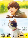 旅猫日记