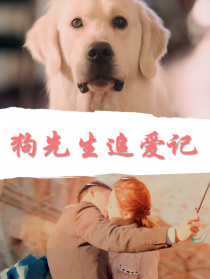 狗先生追愛(ài)記