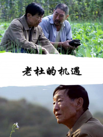 老杜的機遇