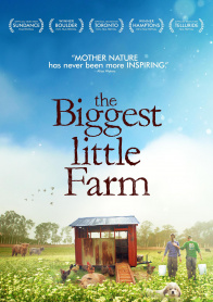 最大的小小农场