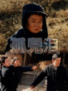 孤儿泪