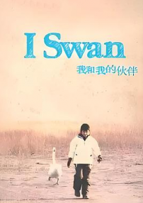 我和我的伙伴