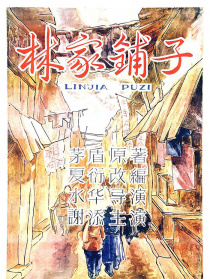 林家铺子