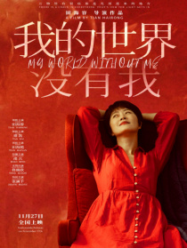我的世界没有我