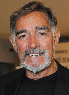 法比奥·泰斯蒂