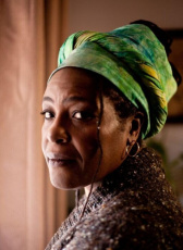 莎伦·D·克拉克