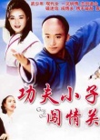 功夫小子闖情關海報