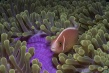 海底世界3D