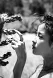 宫泽理惠