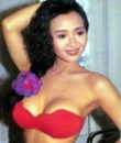叶子楣