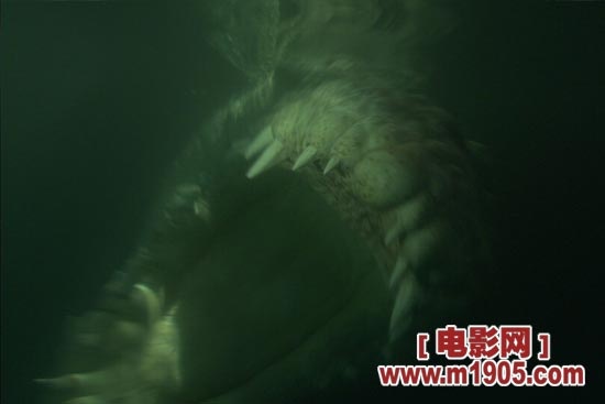 悬疑短剧鳄鱼,悬疑短剧鳄鱼在线观看