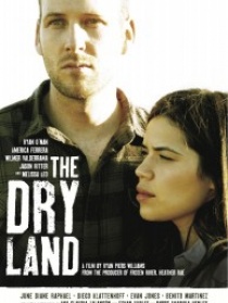 干燥的土地