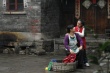 炫舞天鵝