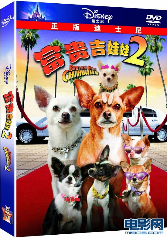 《富贵吉娃娃2》发行 神勇机智破案狗搞笑卖萌