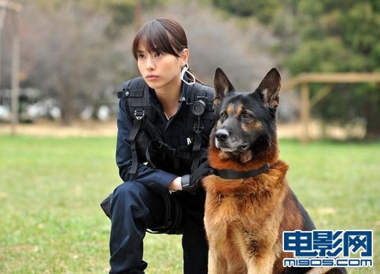 戶田惠梨香新片熱演警犬員 英姿颯爽搶險救援