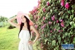 甘薇夏日寫真出爐 花海中詮釋清新唯美夏意盎然