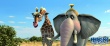 動物總動員3D