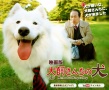 犬飼的小狗