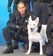 狗與警察