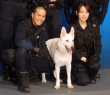 狗与警察