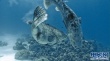 海洋