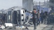 野性之七人