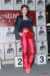 张家辉主演《大追捕》首映 谢安琪桃色长裙抢镜