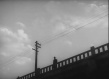 生之欲