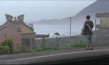 當(dāng)愛(ài)來(lái)的時(shí)候