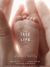 生命之树