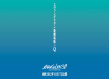 新世纪福音战士新剧场版：Q