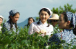 阿妹
