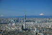 劇場版 東京天空樹 世界的秘密