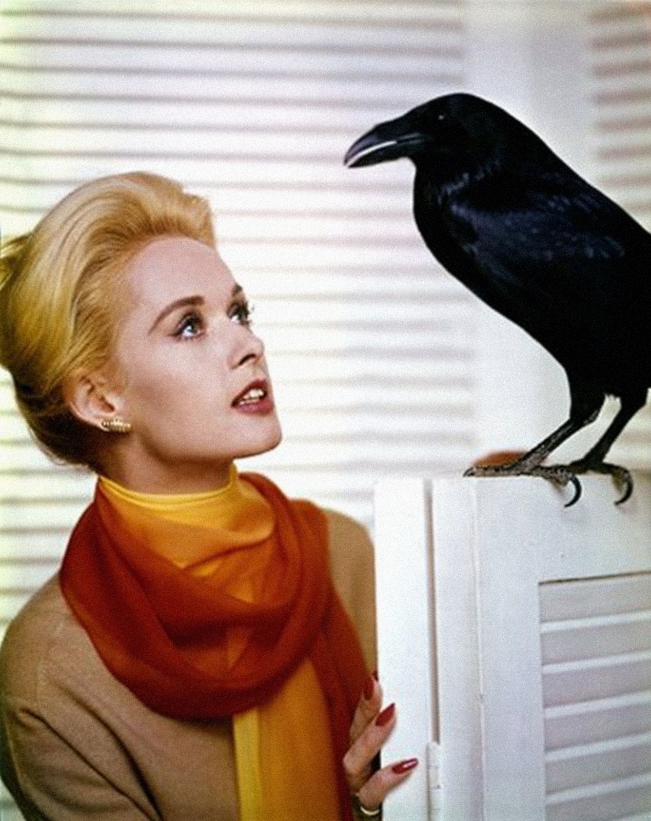 群鸟_电影剧照_图集_电影网_1905.com