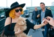 Lady GaGa秀美背纹身 抱爱犬似真空侧胸险走光