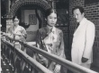 火鸟