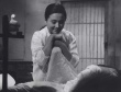 常綠樹