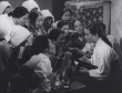 常綠樹