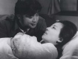 常綠樹