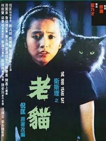 老猫