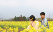 十里紅妝