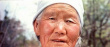 信天游