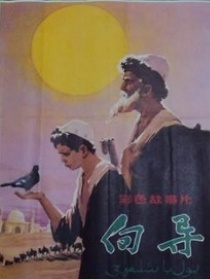 向导