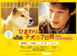 向日葵與幼犬的7天