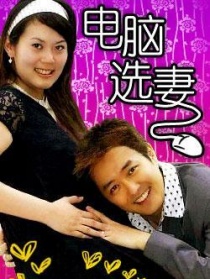 电脑选妻